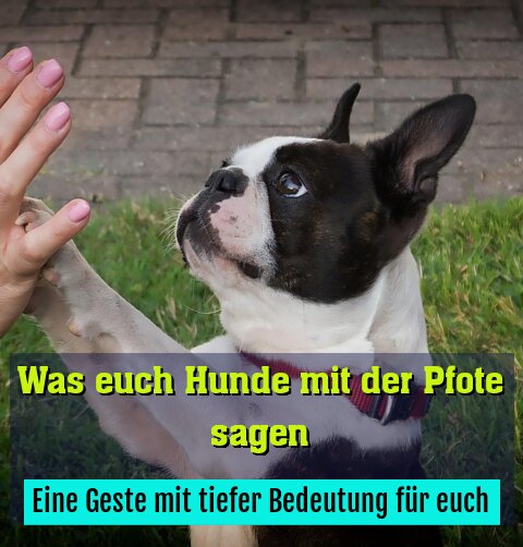 Eine Geste mit tiefer Bedeutung für euch