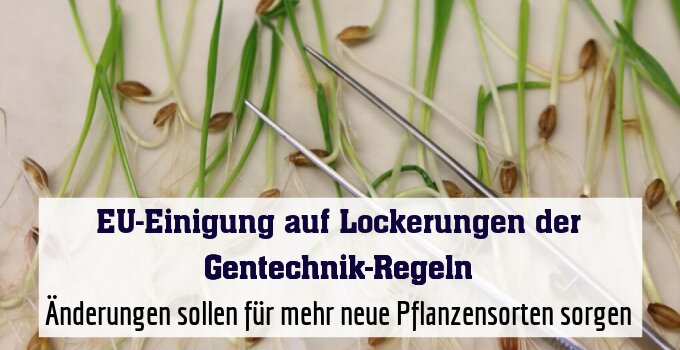 Änderungen sollen für mehr neue Pflanzensorten sorgen