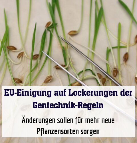 Änderungen sollen für mehr neue Pflanzensorten sorgen