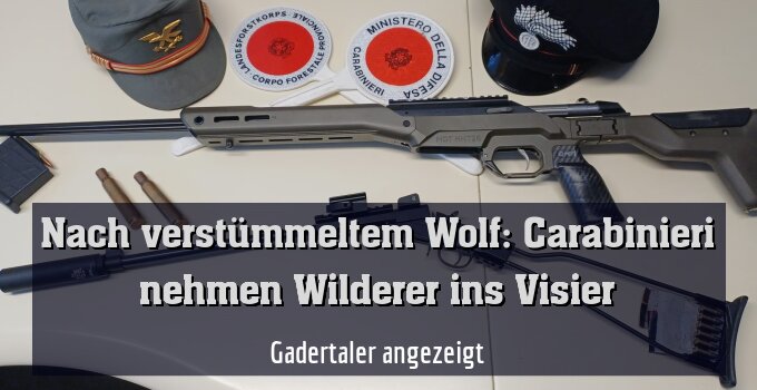 Gadertaler angezeigt