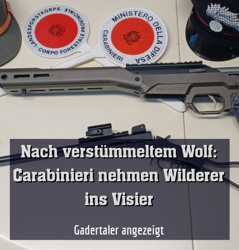 Gadertaler angezeigt