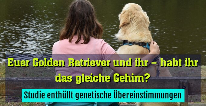 Studie enthüllt genetische Übereinstimmungen