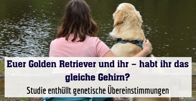 Studie enthüllt genetische Übereinstimmungen