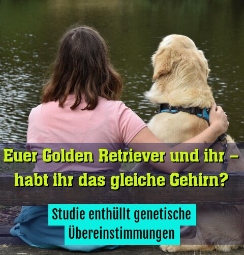 Studie enthüllt genetische Übereinstimmungen