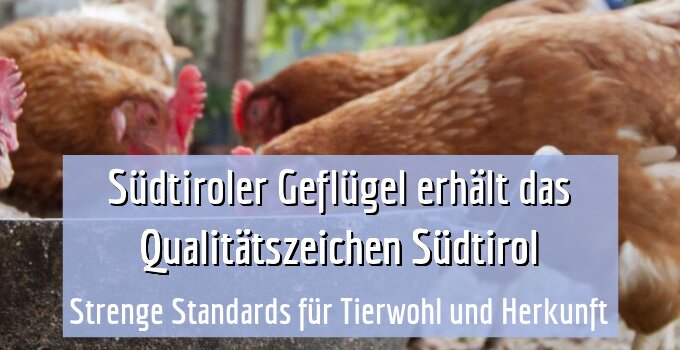 Strenge Standards für Tierwohl und Herkunft