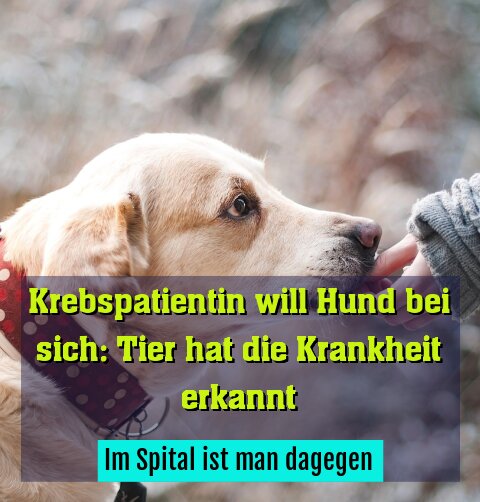 Im Spital ist man dagegen