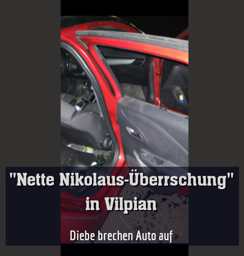 Diebe brechen Auto auf