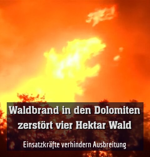 Einsatzkräfte verhindern Ausbreitung