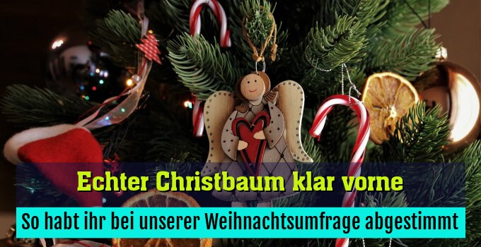 So habt ihr bei unserer Weihnachtsumfrage abgestimmt