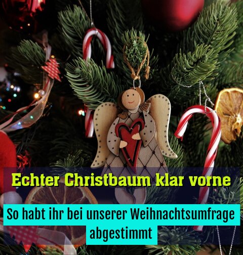 So habt ihr bei unserer Weihnachtsumfrage abgestimmt