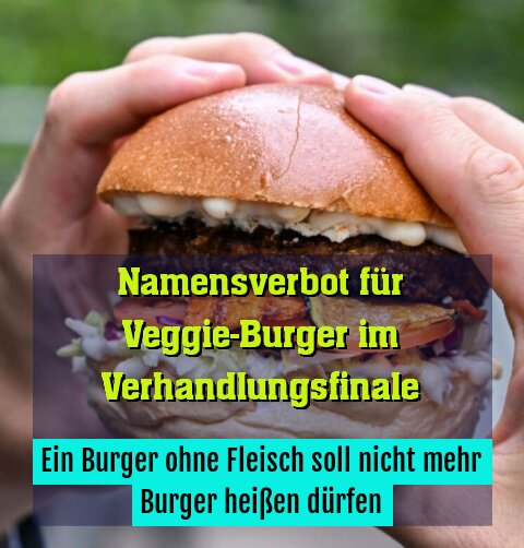Ein Burger ohne Fleisch soll nicht mehr Burger heißen dürfen