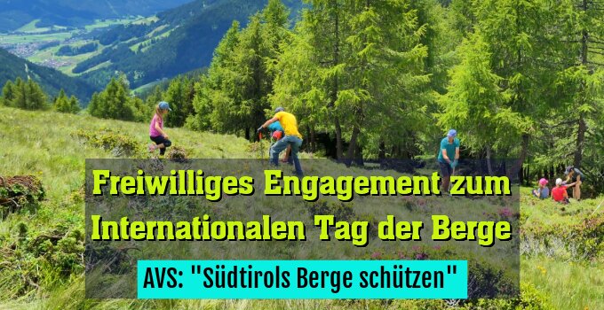 AVS: "Südtirols Berge schützen"