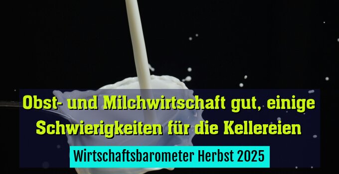 Wirtschaftsbarometer Herbst 2025