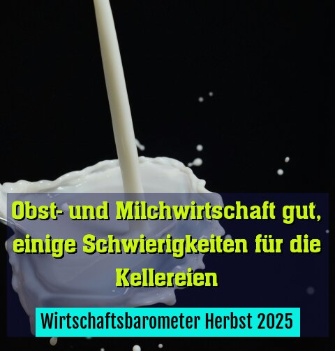 Wirtschaftsbarometer Herbst 2025