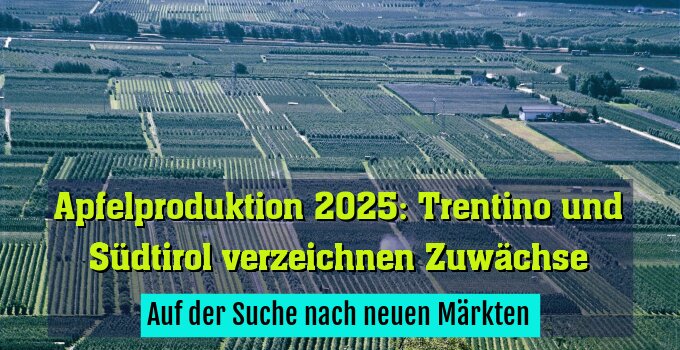 Auf der Suche nach neuen Märkten