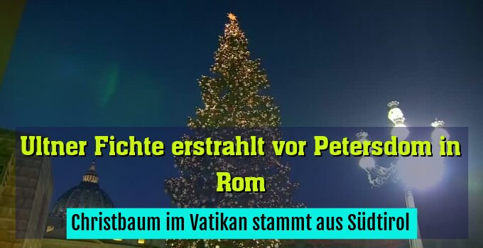 Christbaum im Vatikan stammt aus Südtirol