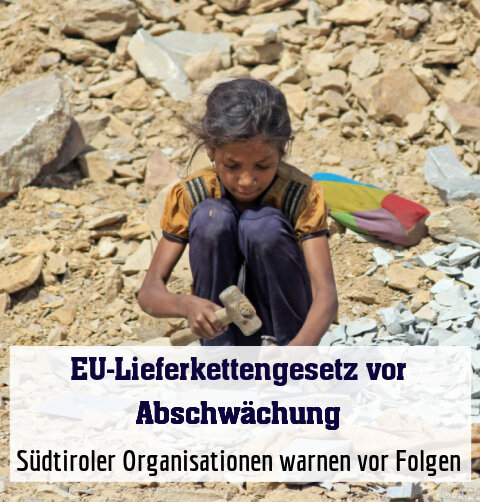 Südtiroler Organisationen warnen vor Folgen