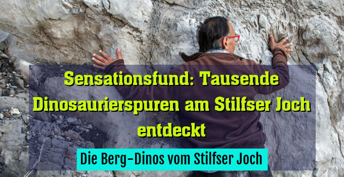 Die Berg-Dinos vom Stilfser Joch