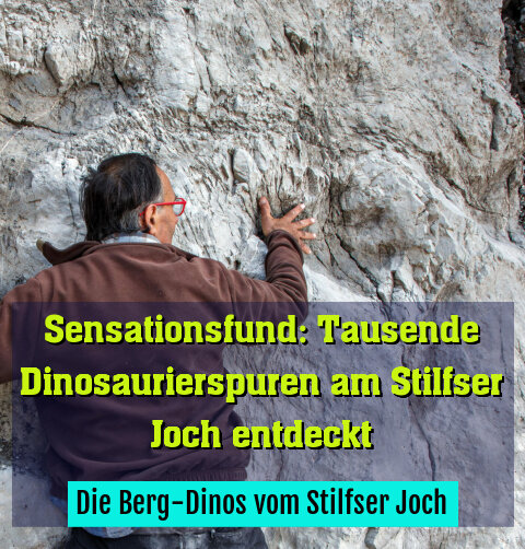 Die Berg-Dinos vom Stilfser Joch