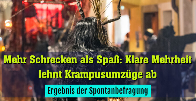 Ergebnis der Spontanbefragung