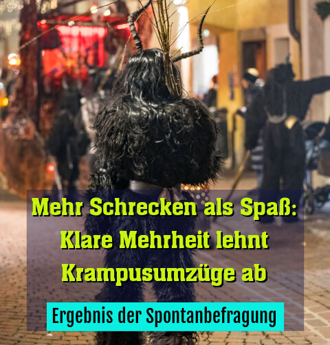 Ergebnis der Spontanbefragung