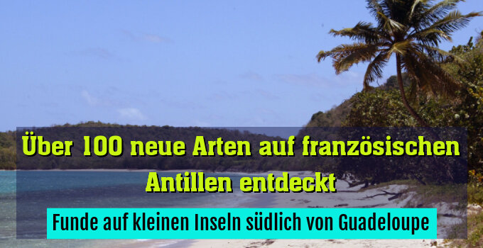 Funde auf kleinen Inseln südlich von Guadeloupe