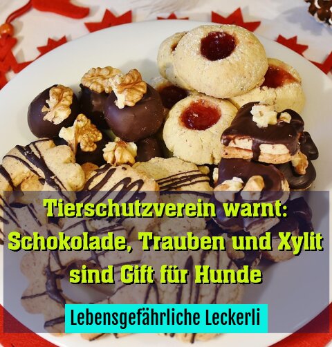 Lebensgefährliche Leckerli