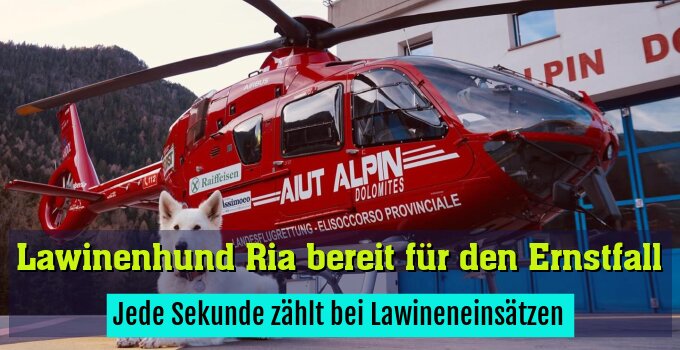 Jede Sekunde zählt bei Lawineneinsätzen