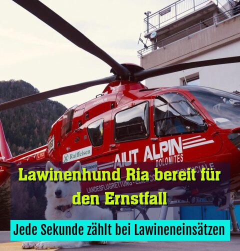 Jede Sekunde zählt bei Lawineneinsätzen