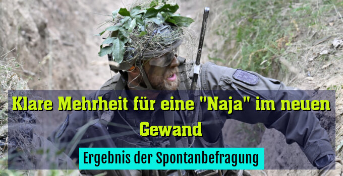 Ergebnis der Spontanbefragung