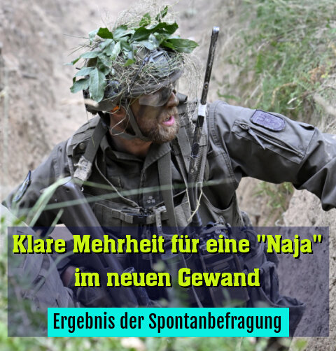Ergebnis der Spontanbefragung