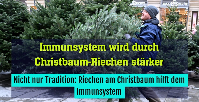 Nicht nur Tradition: Riechen am Christbaum hilft dem Immunsystem
