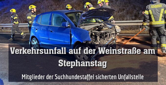 Mitglieder der Suchhundestaffel sicherten Unfallstelle