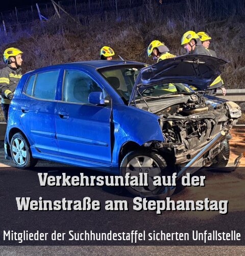 Mitglieder der Suchhundestaffel sicherten Unfallstelle