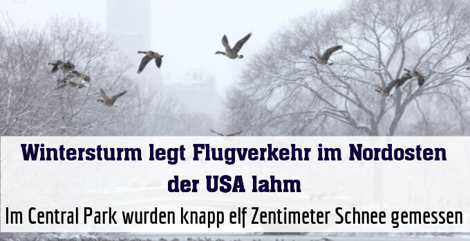 Im Central Park wurden knapp elf Zentimeter Schnee gemessen