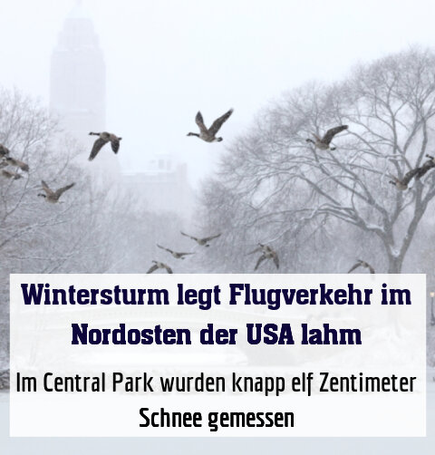 Im Central Park wurden knapp elf Zentimeter Schnee gemessen