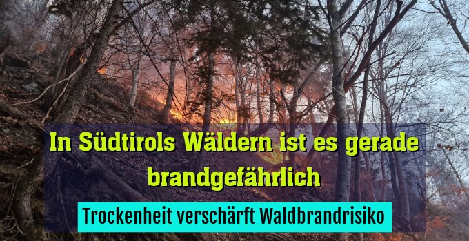 Trockenheit verschärft Waldbrandrisiko