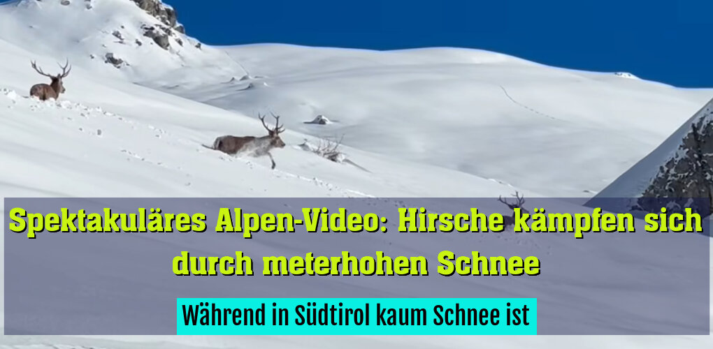 Während in Südtirol kaum Schnee ist