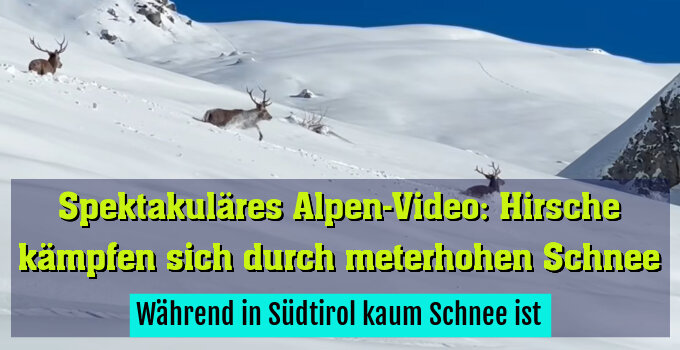 Während in Südtirol kaum Schnee ist