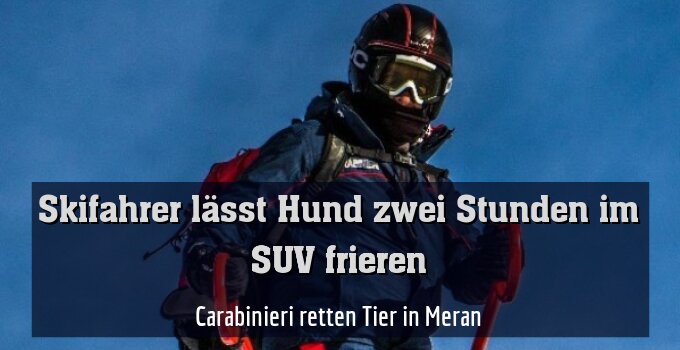 Carabinieri retten Tier in Meran