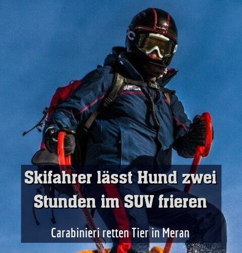Carabinieri retten Tier in Meran