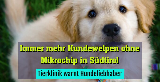Tierklinik warnt Hundeliebhaber