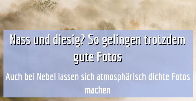 Auch bei Nebel lassen sich atmosphärisch dichte Fotos machen