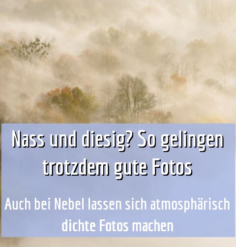 Auch bei Nebel lassen sich atmosphärisch dichte Fotos machen