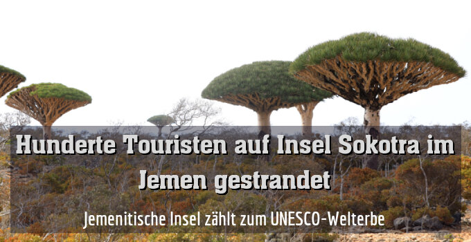 Jemenitische Insel zählt zum UNESCO-Welterbe