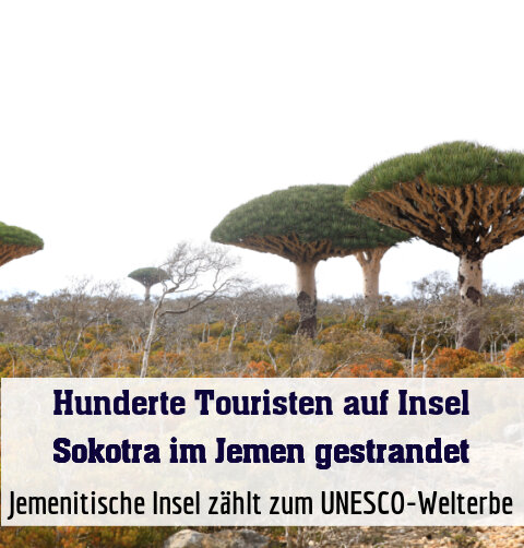 Jemenitische Insel zählt zum UNESCO-Welterbe