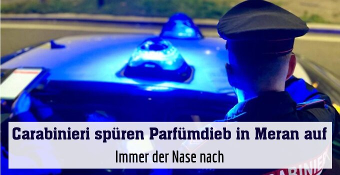 Immer der Nase nach