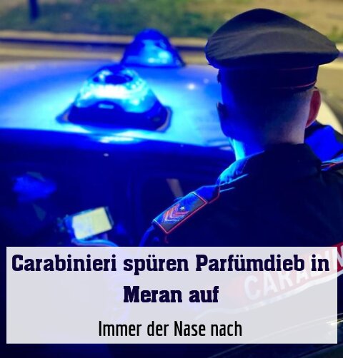 Immer der Nase nach