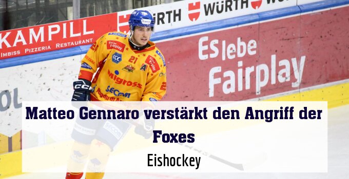 Eishockey