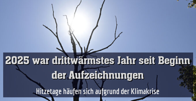 Hitzetage häufen sich aufgrund der Klimakrise